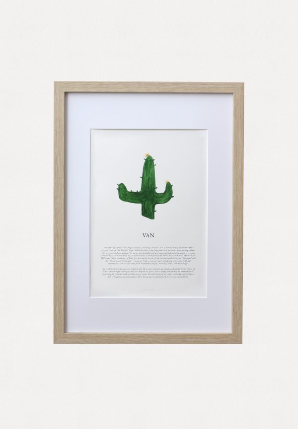 CACTUS