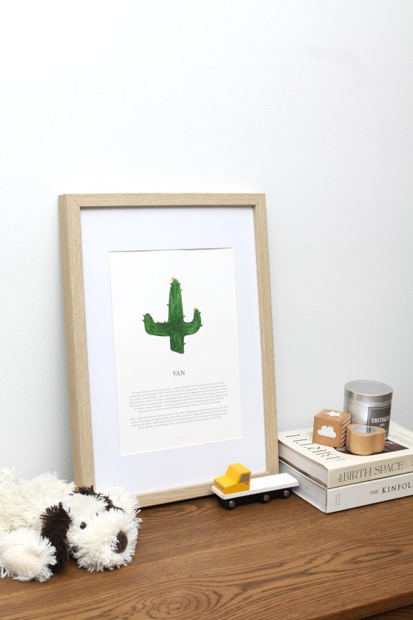 CACTUS - Image 2